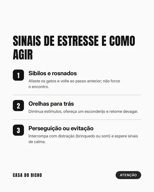 Slide 3 de 6